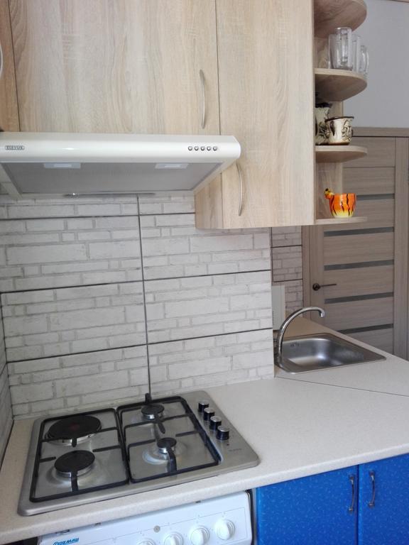 Apartment On Kryvorizhstal Street 35-24 クルィヴィーイ・リーフ エクステリア 写真