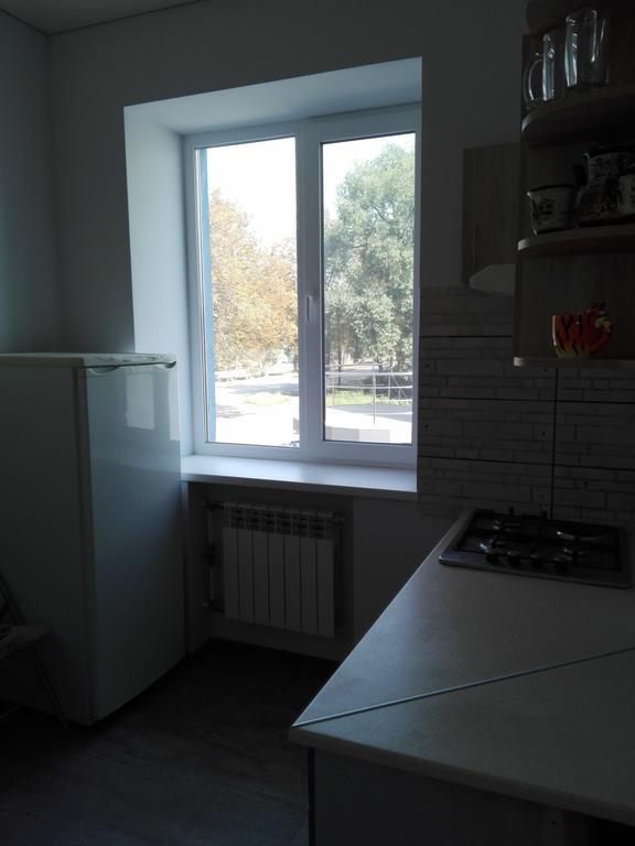 Apartment On Kryvorizhstal Street 35-24 クルィヴィーイ・リーフ エクステリア 写真